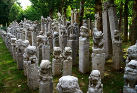 栓马桩上晒被子