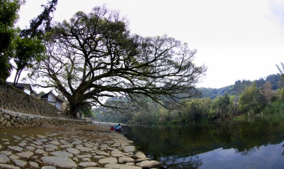 在水一方：云水谣