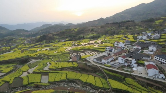 汉阴漩涡镇古梯田油菜花海
