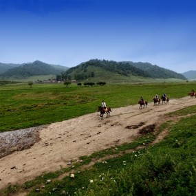 关山草原牧场的美丽