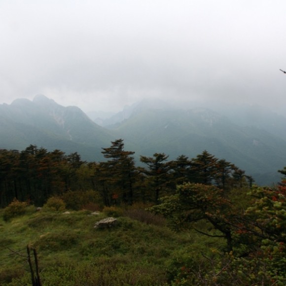横看成岭侧成峰《三》