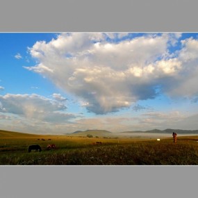 坝上老六老师拍摄的坝上夏日