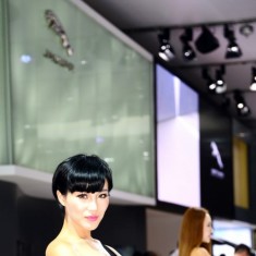 2014西安十一车展摄影投稿