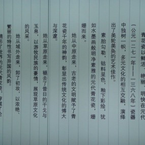 首都博物馆---青花瓷展1