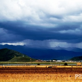 彩云之南的诗情春意