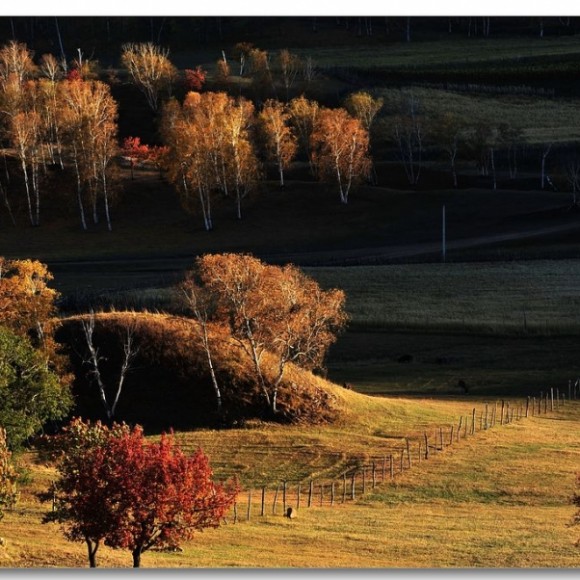 坝上，乌兰布统秋色！