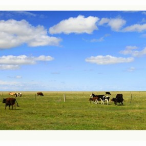 报道贴---千里走单骑内蒙行