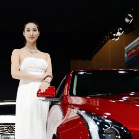 【十一车展】超广角车模