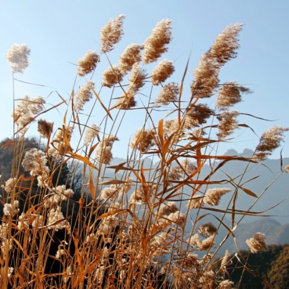 小坝沟习拍风景