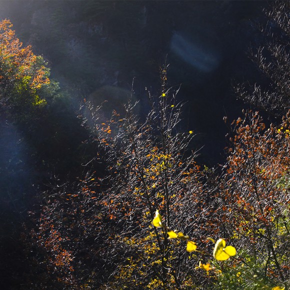 雾霾天气 森呼吸2