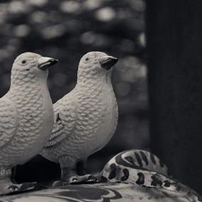 第一次参加活动，交作业。