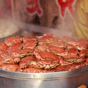 西市庙会乱拍（一）