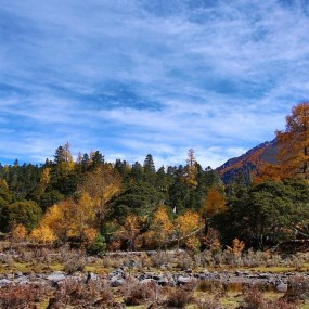 《这里是金秋》