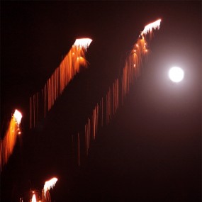 --《金蛇狂舞庆新年》