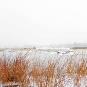 西安浐灞湿地公园雪景美图（三）