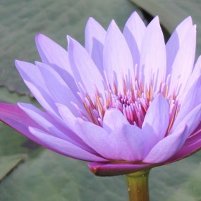 第一次发帖，有点小紧张！还请给位大侠指教指教！