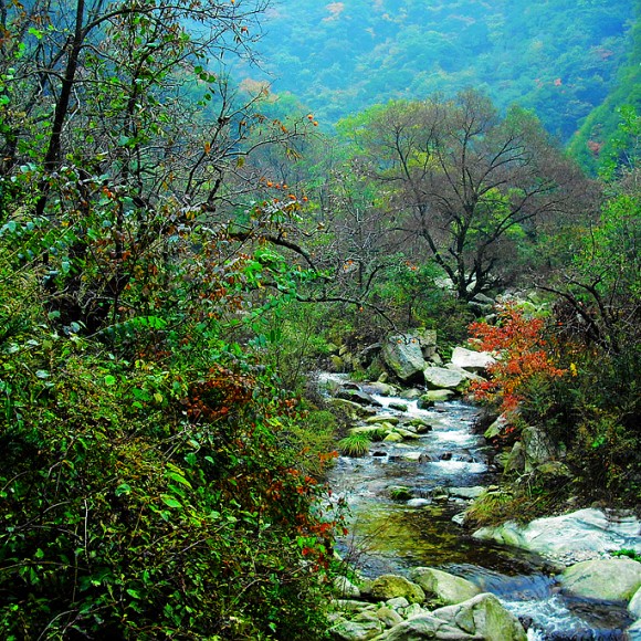 找寻秋天的色彩。