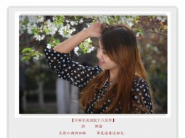 人面桃花相映红