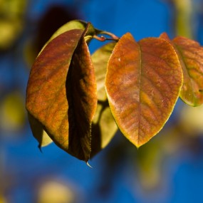 大明宫丹凤门夜景