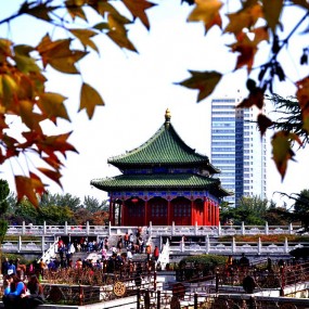 兴庆公园秋色美