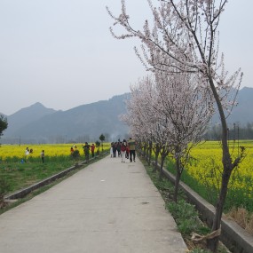 勉县元墩漾家河