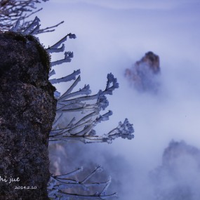 冬日黄山观日出-云海