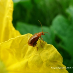 周末郊区骑行随拍
