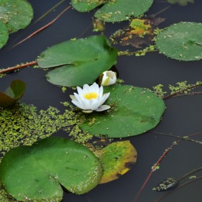单车骑到秦岭边