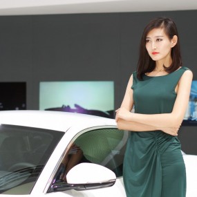 14年国庆车展绿地笔克展厅