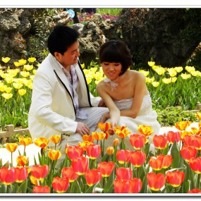 喜结良缘（婚纱摄影）