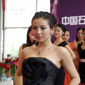 世界小姐陕西总决赛名花