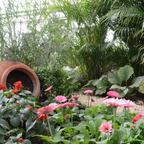 沣东农博园——温棚花卉