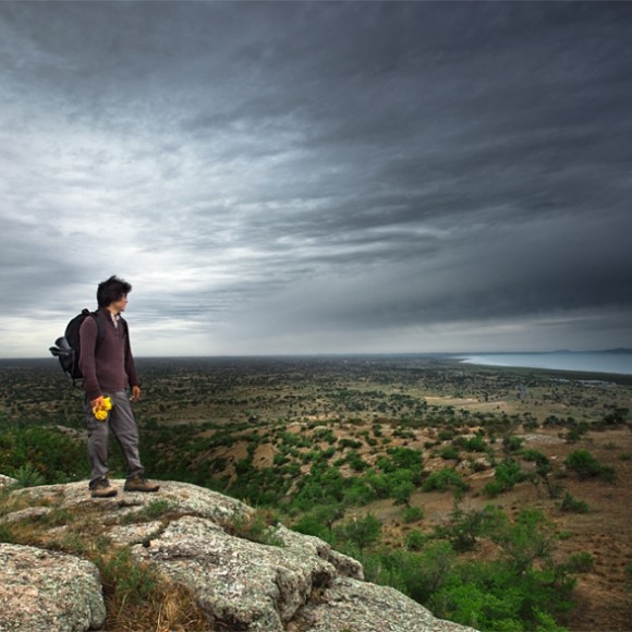 且听风吟----眺望者