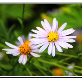 镜头里的小品_吴旭文出品