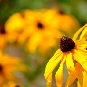 大热天出去乱拍