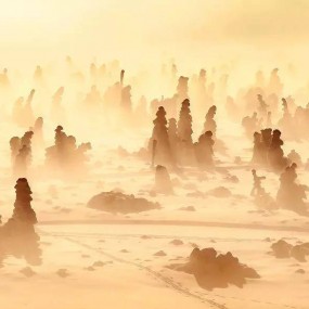 四季流转中的克尔科诺谢山