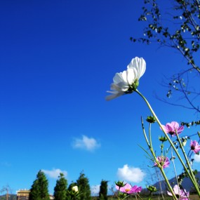 唯一一张自己满意的照片