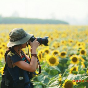 楼观金葵花活动作业——汪洋孤舟