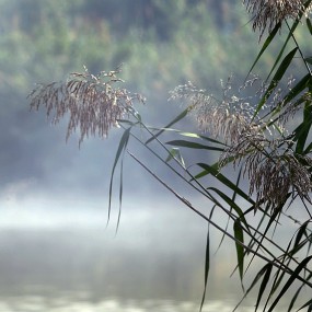 灞桥生态园半日