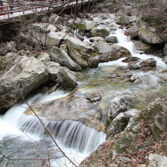补上几张2号去太平国家森林公园的照片
