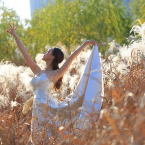 芦苇荡里的孔雀精灵