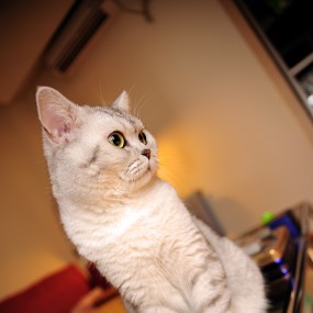 一岁生日，拍照留念