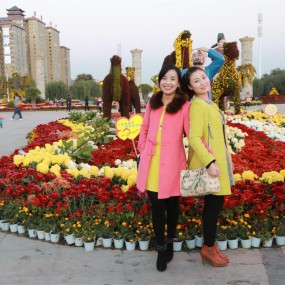 香菊美女争芳斗艳