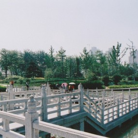 胶片时代1---早期的沣庆公园