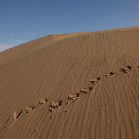 沙漠风光（二）