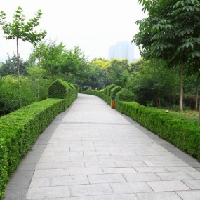 全民拍荷花 第一季 地理位置和众生相