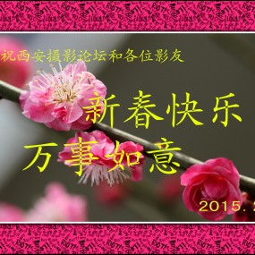 祝新春好