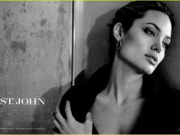 性感女神——安吉丽娜.朱莉大图典藏（上）