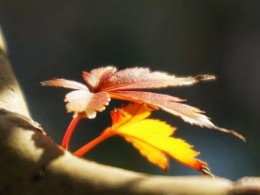 爱上摄影的理由