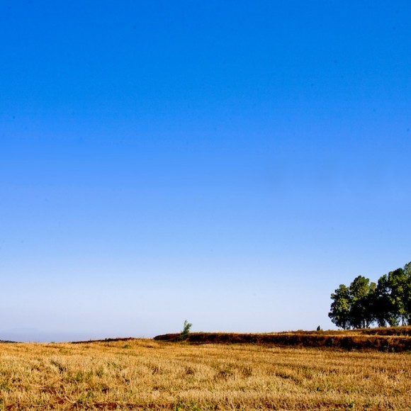白鹿原（三）世代相传